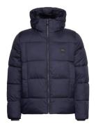 Hooded Quilt Puffer Mw Calvin Klein Navy