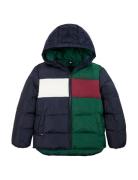 Colorblock Ripstop Padded Jacket Tommy Hilfiger Navy