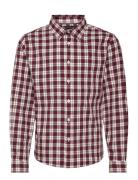 Small Check Regular Shirt Ls Tommy Hilfiger Burgundy