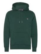 Reg Shield Hoodie GANT Green