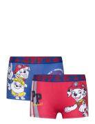 Boxer Paw Patrol Red