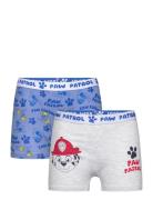 Boxer Paw Patrol Blue