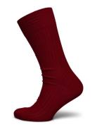 Red Ribbed Socks AN IVY Burgundy