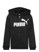 Ess Big Logo Fz Hoodie Fl B PUMA Black