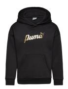 Ess+ Script Metallic Hoodie Fl G PUMA Black