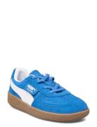 Palermo Ac Inf PUMA Blue