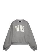 Stadium Loose Crew Gr VANS Grey