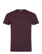 Borg Essential 1 T-Shirt Björn Borg Purple