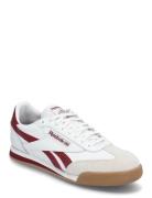 Campio Xt Reebok Classics White