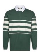 Union Rugby Carter Stripe Bist LEVI´S Men Green