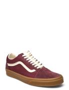 Old Skool VANS Burgundy