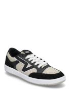 Lowland Cc VANS Black