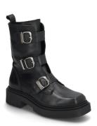 Clipper Boots Steve Madden Black