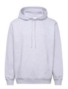 Nb Half Moon Hoodie Grey Nikben Purple