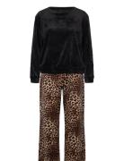 Pj Set Velours Leopard Hunkemöller Black