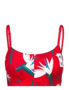 Thebe Magugu Studio Light-Support Bra Adidas Performance Red