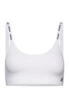 Bustier Adidas Underwear White