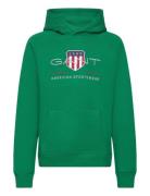 Archive Shield Hoodie GANT Green