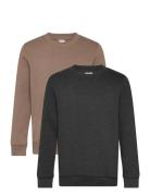 Sweatshirt Boys Minymo Brown