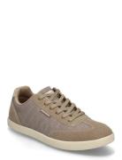 Mens Placer Skechers Beige