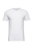 100% Organic Cotton Classic T-Shirt GAP White