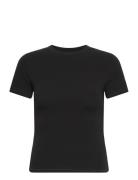 Flex Tee Organic Basics Black