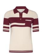 Color Blocked Polo Knit GANT Burgundy