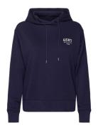 Small Graphic Hoodie GANT Navy