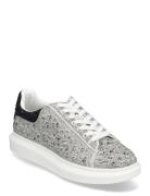 Icebox Sneaker Steve Madden Grey