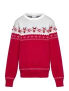 The Adorable Christmas Sweater Kids Christmas Sweats Red