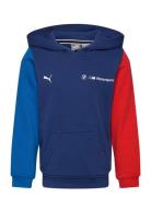 Bmw Mms Kids Ess Hoodie Ft PUMA Motorsport Navy