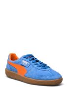 Palermo PUMA Blue