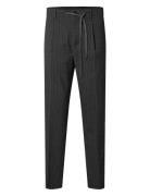 Slh190-Reg Tapered Leroy Pleat Pant Noos Selected Homme Grey