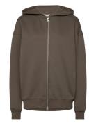 Studio Over D Zip Hoodie Björn Borg Brown