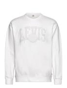 Relaxd Graphic Crew Tonal Athl LEVI´S Men White