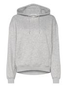 Standard Hoodie Weekday Grey