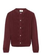 Cardigan Knit En Fant Burgundy