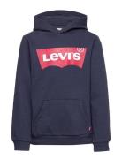 Levi's® Screenprint Batwing Pullover Hoodie Levi's Blue