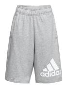 U Bl Short Adidas Sportswear White