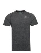 Odlo Essential Seamless T-Shirt Crew Neck S/S Odlo Grey