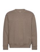 L/S Sweatshirt Calvin Klein Brown