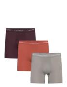 Boxer Brief 3Pk Calvin Klein Brown