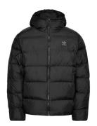 Adidas Originals Tonal Hooded Puffer Adidas Originals Black