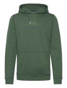 F2F Organic Cotton Hoodie Helly Hansen Green