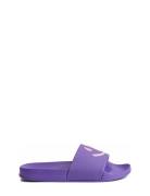 Zhappy Molo Purple