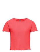 Kognella S/S O-Neck Top Noos Jrs Kids Only Red