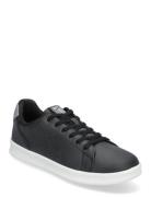 Court Line Hummel Black