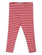 Tnstfro Uni Rib Leggings The New Red