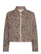 Charlie Printed Denim Jacket French Connection Brown