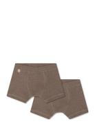 Cilas Boxershorts - 2 Pack That's Mine Brown